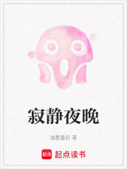 寂靜夜晚在線閱讀