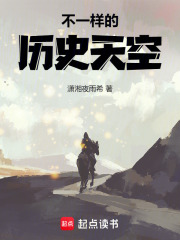 不一樣的歷史天空在線閱讀