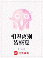 相識離別皆盛夏在線閱讀
