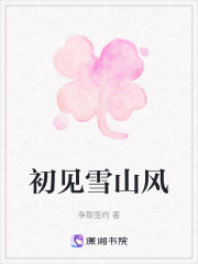 初見雪山風(fēng)在線閱讀