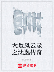 大楚風云錄之沈逸傳奇在線閱讀