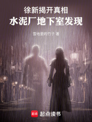 徐新揭開真相，水泥廠地下室發(fā)現(xiàn)在線閱讀