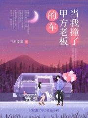 當(dāng)我撞了甲方老板的車在線閱讀