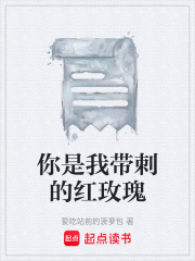 你是我帶刺的紅玫瑰在線閱讀