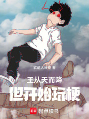 王從天而降，但開始玩梗在線閱讀
