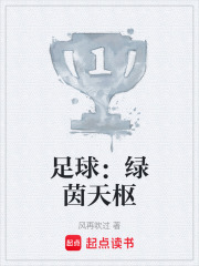 足球：綠茵天樞在線閱讀