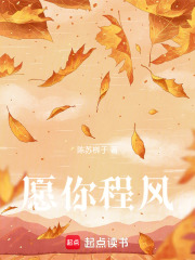 愿你程風在線閱讀