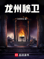龍州秘衛在線閱讀