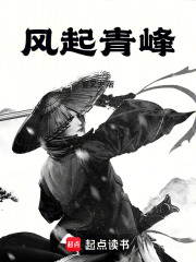 風(fēng)起青峰在線閱讀