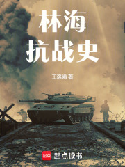林海抗戰史在線閱讀