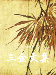 三金文集在線閱讀