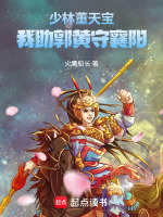 少林董天宝：我助郭黄守襄阳在线阅读
