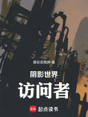 阴影世界访问者