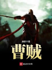 曹賊在線閱讀