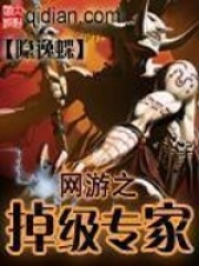 網(wǎng)游之掉級(jí)專家在線閱讀