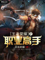 王者榮耀之職業高手