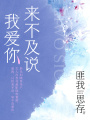 來不及說我愛你（鐘漢良、李小冉主演）