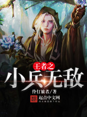王者之小兵無敵