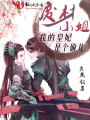 廢材小姐：我的皇妃是個偷兒