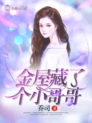 金屋藏了個小哥哥