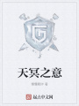 天冥之意