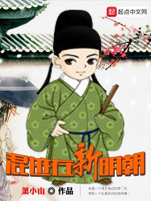 混跡在新明朝