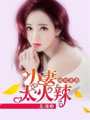 萌娃來襲：小妻太火辣