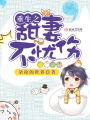 重生之甜妻不憂傷