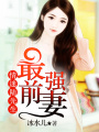 最強前妻：情迷陸先生