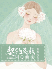 契約總裁：阿Q萌妻