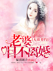 無效妻約：老婆，咱不離婚！