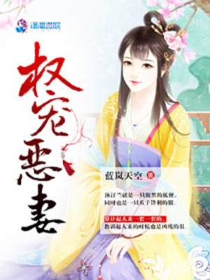 權(quán)寵惡妻