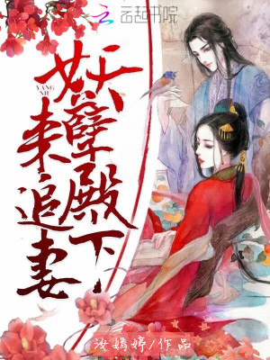妖孽殿下來追妻