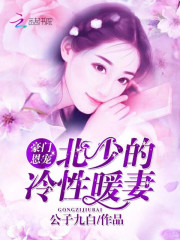 豪門恩寵：北少的冷性暖妻