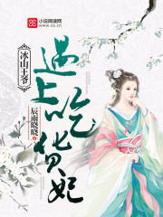 冰山王爺遇上吃貨妃