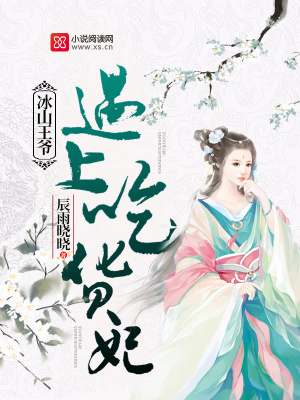 冰山王爺遇上吃貨妃