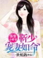 強娶小嬌妻：靳少寵妻如命
