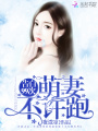 告白99次：萌妻，不许跑