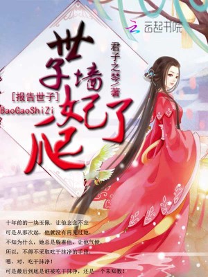 世子妃又爬墻了