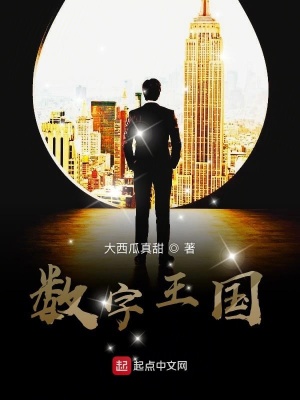 數(shù)字王國