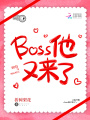 boss他又来了