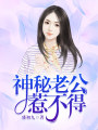 神秘老公惹不得