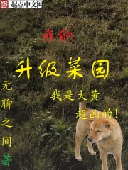 我的升級菜園