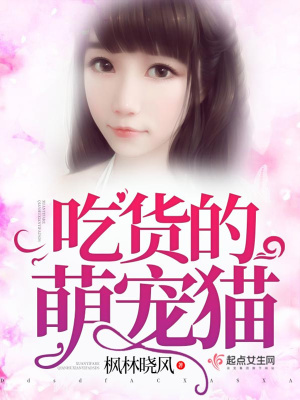 吃貨的萌寵貓