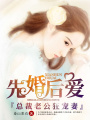 先婚后愛：總裁老公狂寵妻