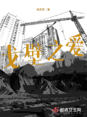 戈壁之愛