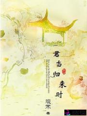 君當歸來時