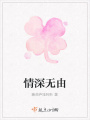 情深無由