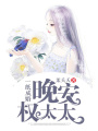 一紙成婚：晚安，權太太