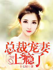 總裁寵妻上癮了